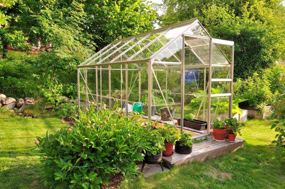 serre de jardin